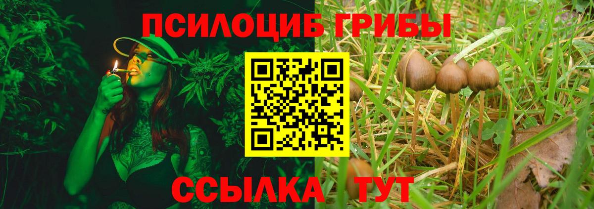 Галлюциногенные грибы прущие грибы  Вход с VPN  Узловая  Галлюциногенные грибы Magic Shrooms 